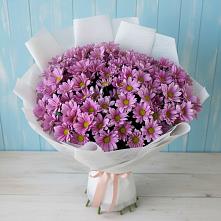 Букет цветов из:  Хризантемы #REPLACE_PRED# Измайлово