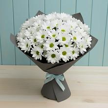 Букет цветов из:  Хризантемы #REPLACE_PRED# Измайлово